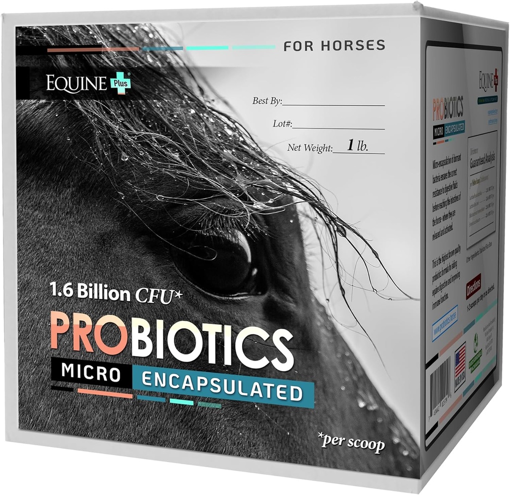 Atlar için Micro-Encapsated Probiyotikler - Premium Equine Digestive Health Supplement