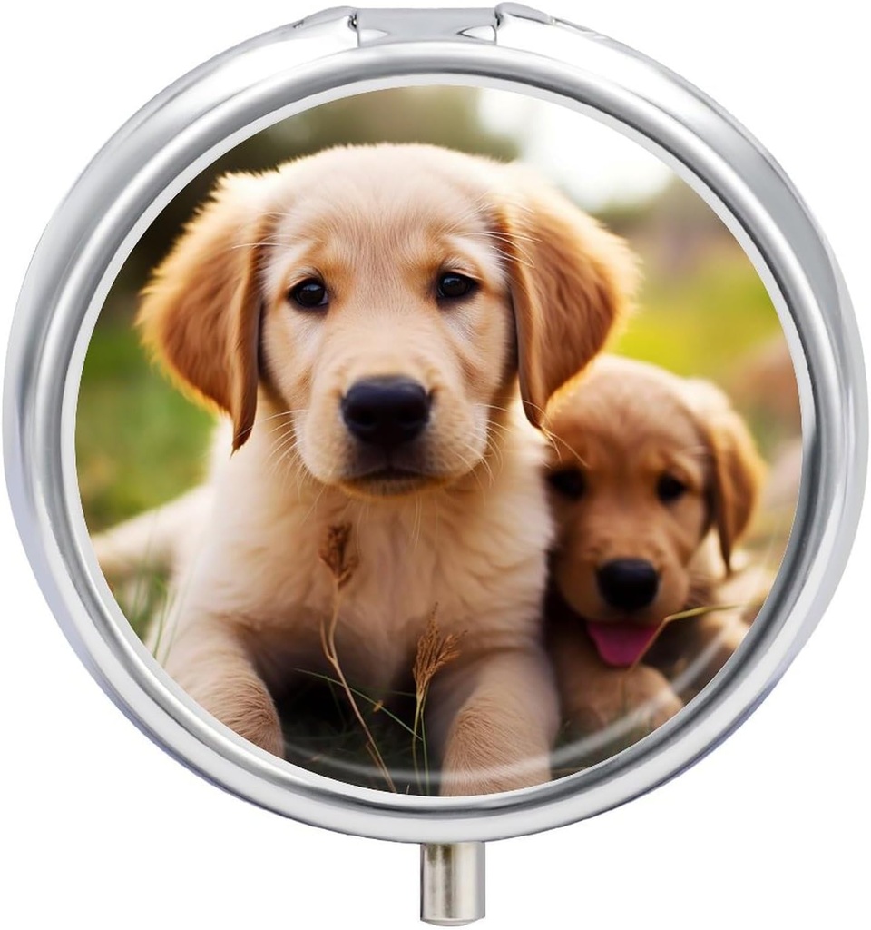 Pill Box 3 Karşılaştırmalı Tur Pill Organizer Daily Small Pill Case for Travel Cute Golden Accessr Puppy Metal Pill Konteyner Portatif Tıp Pill Vitaminleri Balık Yağ Tamamlayıcı