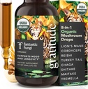 Fantastic Fungi Mushroom Extract - 8-in-1 συμπλήρωμα οργανικού συγκροτήματος μανιταριών με Cordyceps, Reishi, Mane, Chaga, Turkey Tail, Shiitake, Maitake & Tremella - Υγρή απόχρωση προσαρμογόνου, 1 fl oz