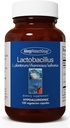 Alerji Araştırma Grubu Lactobacillus Supplement - Erkekler ve Kadınlar için Probiyotikler, Digestive Health, Gut Health, Vegetarian Capsules - 100 Count