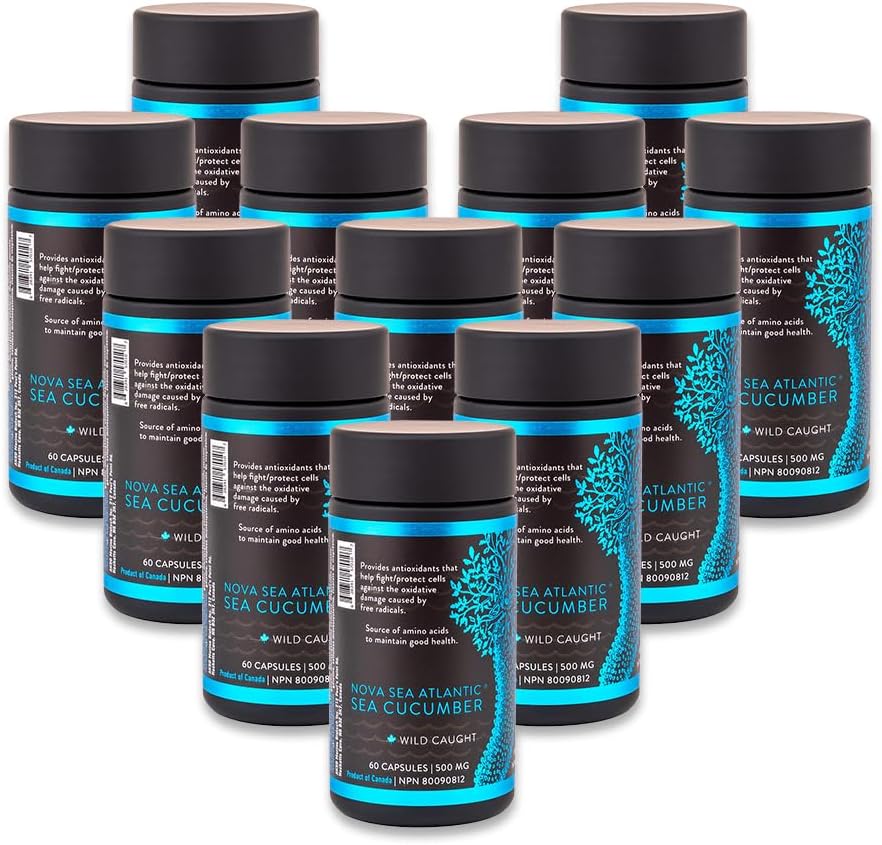 Sea Cucumber Supplement, Wild Caught Sea Cucumber Capsules with Fucosylated Chondroitin Vitaminleri Mineral - Doğal Antioksi Supplement for Elderly Adult Child (Pack of 12)