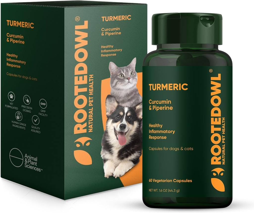 Köklenmiş Owl Turmeric - Köpekler ve Kediler için Turmeric Supplement - Curcumin, Piperine ve Vitamin C Anti-Inflammatory Relief - 60/ct