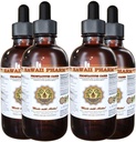 Prostate Support Diyetary Supplement: Pygeum (Pygeum Africanum) Bark, Saw Palmetto (Serenoa Repens) Berry, Sting Nettle (Urtica Dioica) Leaf Tincture (Alcohol-based Liquid Extract) 4x4 oz