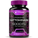 Nattokinase Συμπληρώματα κάψουλες 5000 FU, Third-party Tested Nattokinase – Ένζυμα από την ιαπωνική Natto – Daily Wellness Support – 120 Count (Pack of 1)