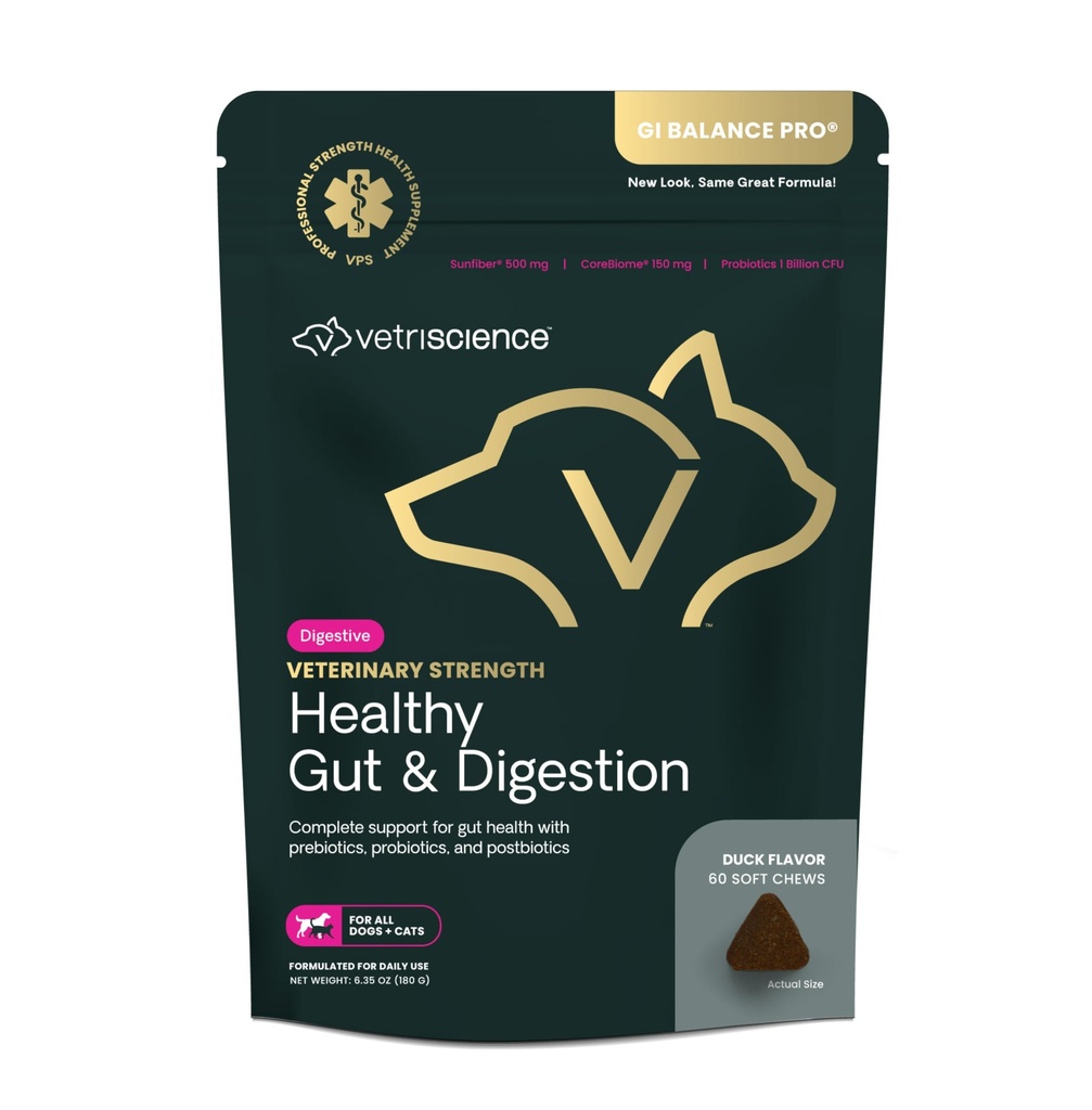 Vetri Science Veterinerlik Sağlıklı Gut & Digestion - Pet Digestive Health Supplement for Cats & Köpekler - Gut Health & Immune Support - Özellikler Probiyotikler, Prebiyotikler & Postbiyotikler - 60 Sayı
