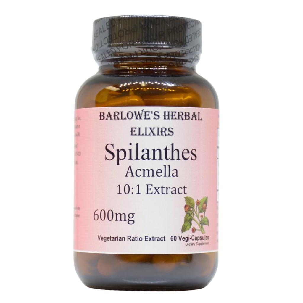 Spilanthes Acmella Extract | 600 mg Per Capsule | Herbal Supplement for Natural Wellness & Balance | 60 Vegan Capsules | Stearate-Free, Glass Şişed for Freshness