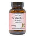 Spilanthes Acmella Extract | 600 mg Per Capsule | Herbal Supplement for Natural Wellness & Balance | 60 Vegan Capsules | Stearate-Free, Glass Şişed for Freshness