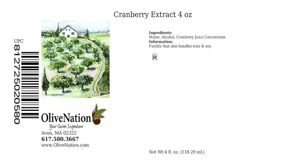 OliveNation Cranberry Extract - 4 ounces - cranberries to muffins, sos and dresss - fırın-extracts-and-flavorings -