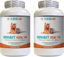 Χάπια κύων - Dog Urinary Health Formula - Βοηθά με θέματα ακράτειας και της ουροδόχου κύστης - Immune Boost - Dog Urinary Health - 2 μπουκάλια (180 Treats)
