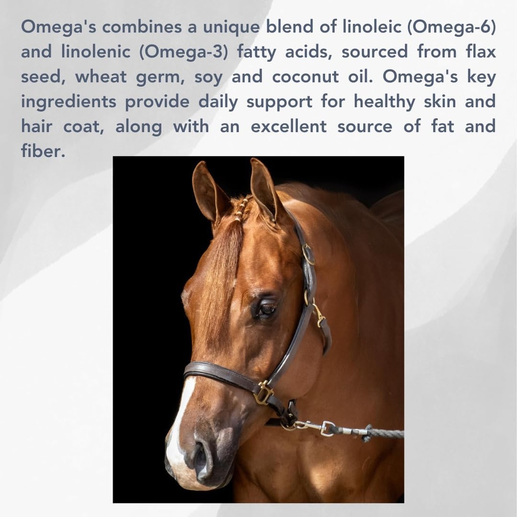 Omega's (25lb) Υγιής Υποστήριξη για τα Άλογα
