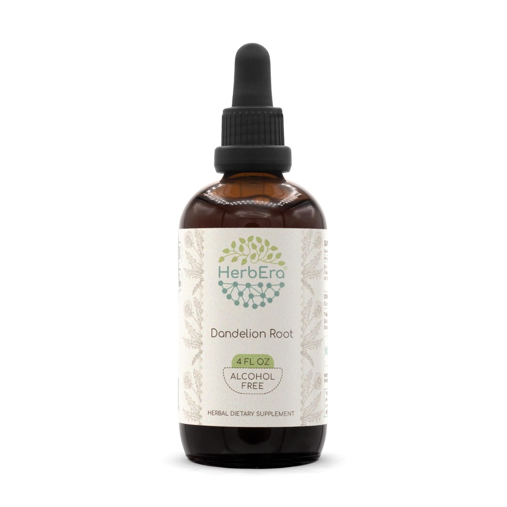 HerbEra Dandelion Root B120 Herb-Free Herbal Extract Βάμμα, Super-Concentrated Dandelion (Taraxacum Officinale) Αποξηραμένη Ρίζα (4 fl oz)