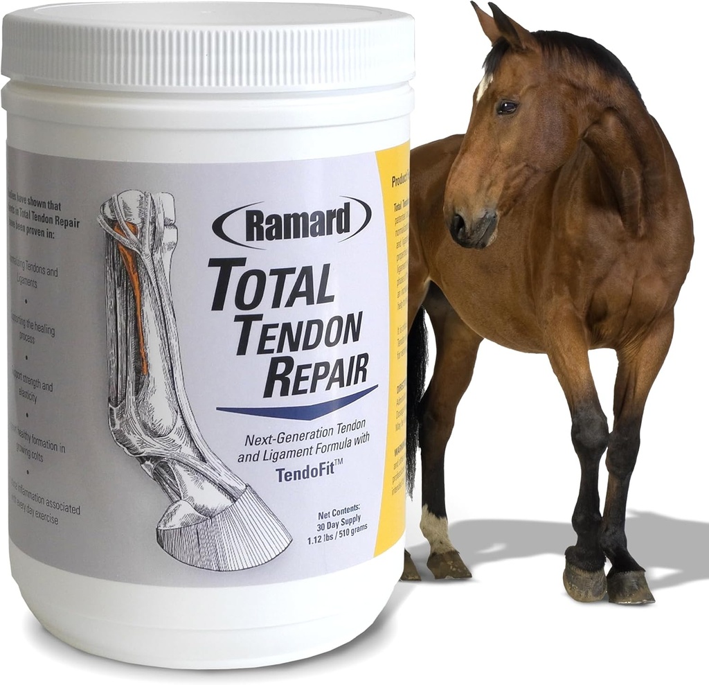 Ramard Σύνολο Tendon επισκευή –Προηγμένο συμπλήρωμα σκόνης με βιταμίνη C, Collagen, και MSM για Joint Horse, Ligament, και Tendon Υποστήριξη - Συμπληρώματα για Ελαστικότητα και δύναμη – 30 ημέρες προσφοράς