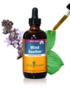 Herb Phar Soother: Holy Basil: Sıvı Kava Supplement to Support Calm & Relaxation, Stabilize Support for Nervous System, Made with Noble Kava & Lavender Flower, Vegan, Gluten-Free, 4 oz*