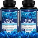Potent Garden 2Pack Mega Mineral Tamam Komple Mineral Kompleksi ile Çelik Magnezyum çinko Pyum Boron Selenium Chromium & 72 Trace Minerals Iron Freeuba Supplement -200 Pills