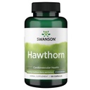 Swanson Hawthorn Extract (Standartized) 250 Milligram