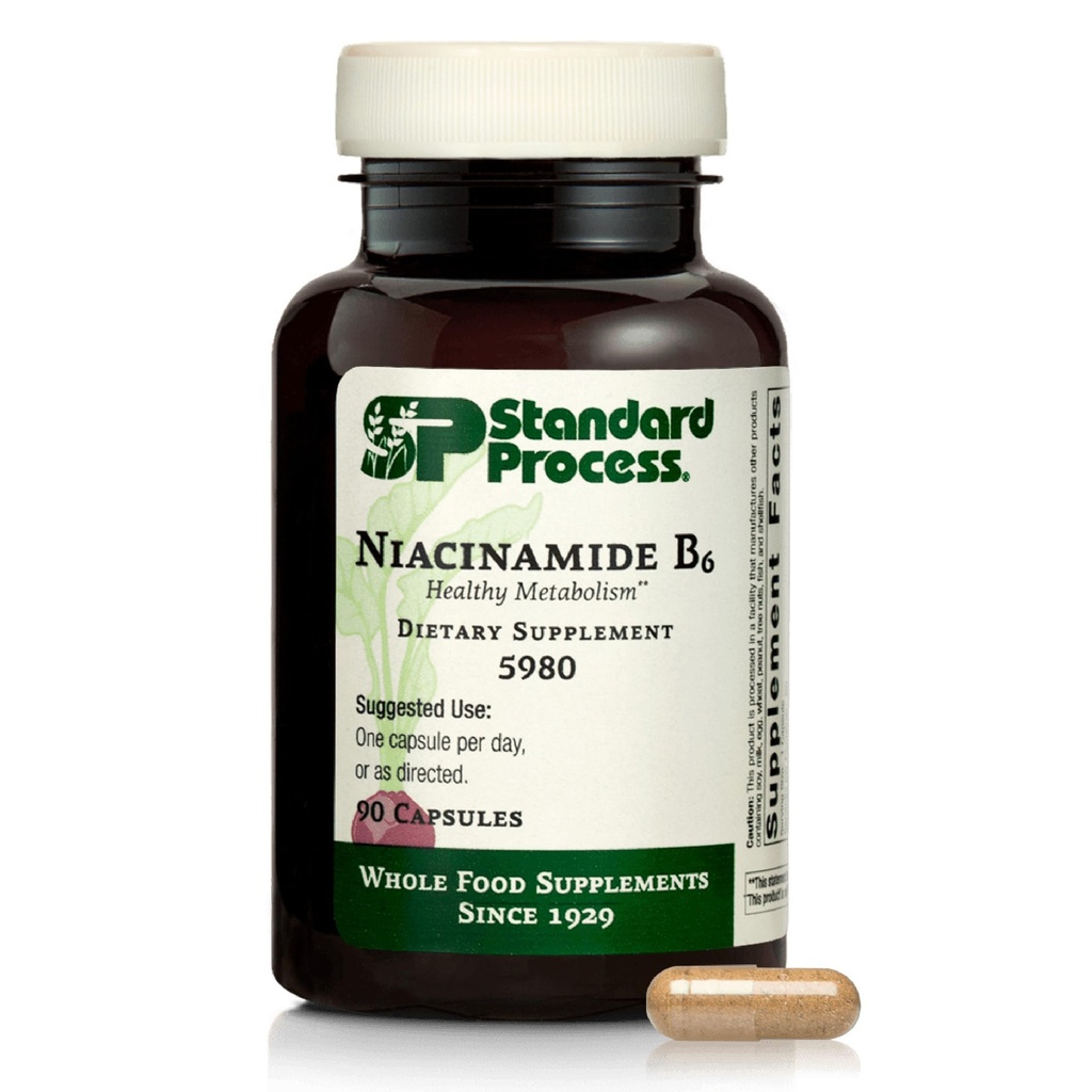 Standart Süreç Niacinamid B6 - Enerji Metabolism & Nervous System Health - Helps Blood Flow & Digestive Health with Niacin & Vitamin B6 - Non-Dairy - 90 Capsulesm & Nervous System Health - Aids Blood Flow & Digestive Health with Niacin & B6 - Non-Dairy - 90 Capsules