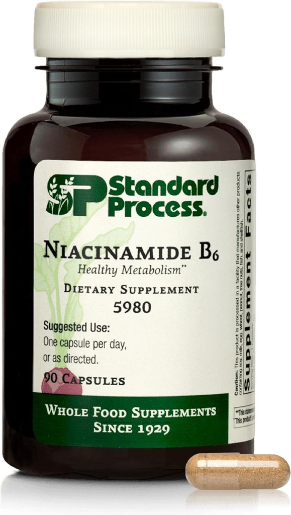 Standart Süreç Niacinamid B6 - Enerji Metabolism & Nervous System Health - Helps Blood Flow & Digestive Health with Niacin & Vitamin B6 - Non-Dairy - 90 Capsulesm & Nervous System Health - Aids Blood Flow & Digestive Health with Niacin & B6 - Non-Dairy - 90 Capsules