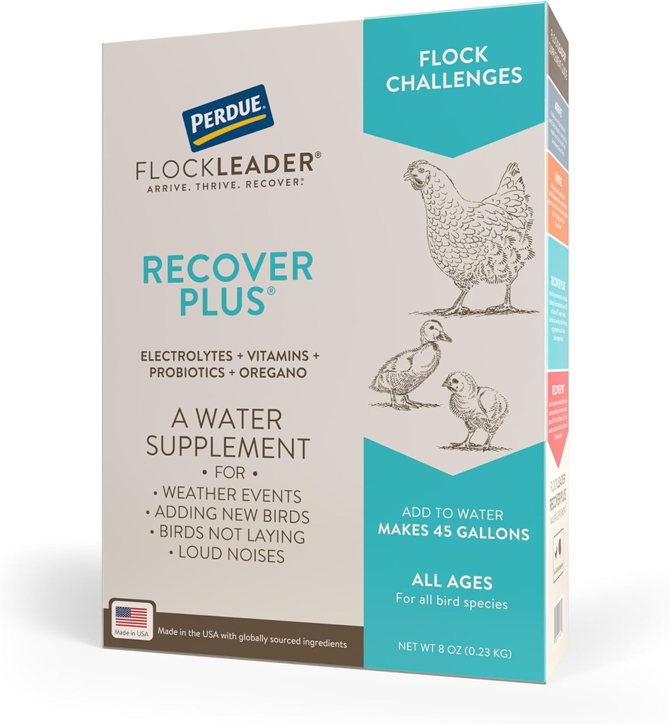 Recover Plus Moderate Stres Probiyotik Su Supplement for Chickens with Electrolytes & Oregano, 8 ozz