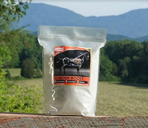Vücut Boost - 3 Lb. - Organik, GMO Free, Sağlıklı Kaslar ve Boosts Immune System