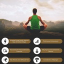 Shilajit Pure Himalaya Organik Giyim Gel – Enerji Boost, Digestive Health & Immune Support – Trace Minerals Natural Black Shilajit for Men & Women – Rich in Fulvic Acid, Iron, Magnezyum (60 Grams)