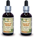 Balm Of Γαλαάδ (Populus candicans) Βάμμα, Βιολογικό αποξηραμένο εκχύλισμα μπουμπούκιων (Παραγωγή ονομασία: HerbalTerra, Proudly made in USA) 2x2 fl.oz (2x60 ml)