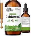 Wild & Organic Goldenseal Root Tincture - Lung Cleanse, Immune & Digestive Support - Liquid Goldenseal Supplement - Vegan, Sugar & Alkol Free Herb Drops - 2 fl ozz