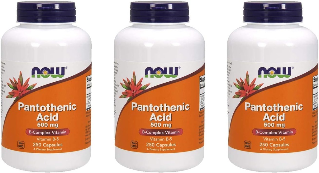 Şimdi Gıdalar Pantothenic Acid 500 mg, 250 Capsule (3 Pack)
