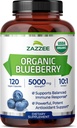 Zazzee USDA Organic Blueberry 10:1 Extract, 5000 mg Δύναμη, 120 Vegan Κάψουλες, 4 μήνες προσφοράς, συμπυκνωμένο και τυποποιημένο 10X πλήρες εκχύλισμα φρούτων, 100% χορτοφάγος, μη-GMO, Κατασκευασμένο στις ΗΠΑ