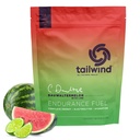 Tailwind Beslenme Endurance Yakıt, Carbohidrat & Electrolyte Sports Drink Mix Toz, Gluten-Free, Vegan, Dauwaltermelon, 30 Hizmet