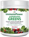 Sağlık Organik Yeşillerinizi ve Reds Superfood Tozunu Vibrant Sağlık Için Yeniden canlandırın