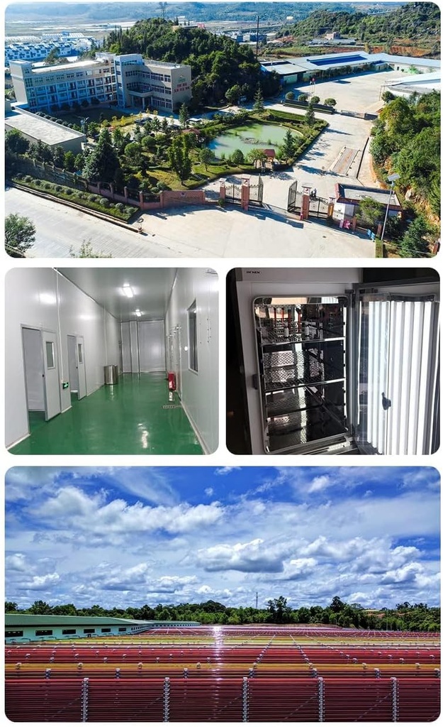 Haematococcus pluvialis Superkctic AO, Astaxanthin Oil (ASTA) ≥% 5 HPLC, 50 Grams (1.7 Fl oz.)