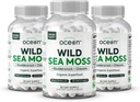 Organik Okyanus Vahşi Deniz Moss Capsules - 100 Organik İrlandalı Deniz Moss Organik Klorella, Enerji Için Suçlama ve Vitamin D, Lung Health ve Yourroid Support for Women and Men - 3 Şişes