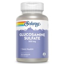 SOLARAY Glucosamine Sulfate 500 mg | Sağlıklı Ortak Flexability & Resiliency Support (60 Serv, 120 CT)