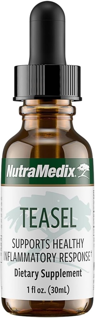 NutraMedix Çaysal Ekstraksiyon - Fuller'in Çaysel Kök (Dipsacus fullonum) Antioksit Desteği için Sağlık Durağı - Vegan Antisoxy Supplement (1oz / 30 ml)