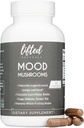 Mood Mushrooms - Lifted Mushroom Supplement - Lion's Mane, Reishi, Chaga, Türkiye Tail, Maitake - Energy, Focus, Stress Relief