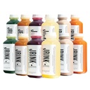 JRINK, Purée Intermediate Juice Cleanse, Cold Pressed Detox Drink with Organic 2 Day-Sağlıklı Sebze ve Meyve Suyu, Donmuş Baskılı Su Temizliği, 12 Şişe, 16oz Her Şey