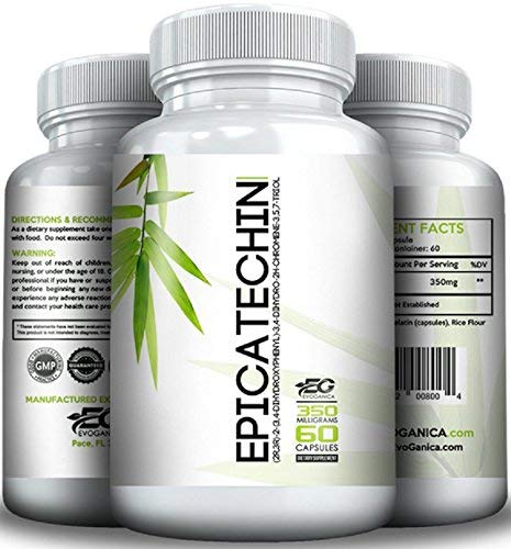 EPICATECHIN (350mg x 60ct) από την EVOGANICA