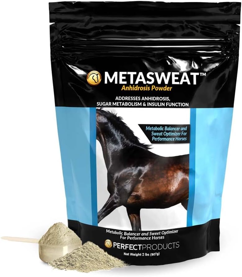 MetaSweatTM Ανίδρωση σε σκόνη (2LB)