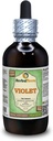 Violet (Viola Yedoensis) herb Alkol Özgür Sıvı Ekstraksiyon (Brand Name: HerbalTerra, Proudly Made in USA) 4 oz