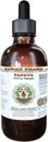 Papaya Alkol-Free Liquid Extract, Organik Papaya (Carica Papaya) kuru Leaf Glycerite Natural Herbal Supplement, Hawaii Pharm, ABD 2 fl.oz