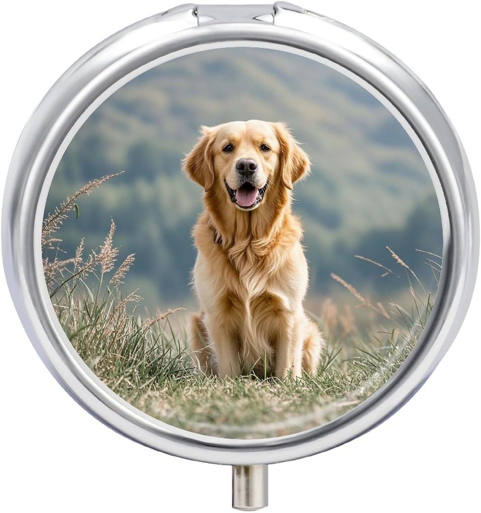 Yuvarlak Pill Box Golden Accessr Dog Classic 3 Karşılaştırma Küçük Pill Case Portreatif Seyahat Pill Konteyneri Tamamlar Vitaminler Balık Yağ İlaç İlaç İlaçları