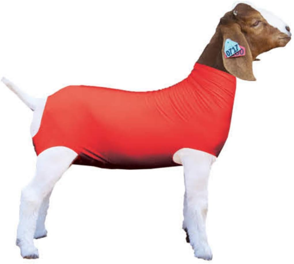 Εμφάνιση Pro Red Spandex σωλήνα κατσικίσιου σωλήνα για την προβολή κατσικιών - Εμφάνιση ζωικών προϊόντων: Καλύμματα κατσικιών & κουβέρτες