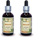 Skullcap (Scutellaria Lateriflora) Tincture, Organik Kuru Herb Sıvı Ekstraksiyon (Brand Name: HerbalTerra, Proudly Made in USA) 2x2 fl.oz (2x60 ml)
