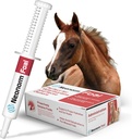 Jaguar Animal Health Foal - Proper Hydration & Bowel Health - Plant-Based Product for Pre-Weaned Foals (30 mL)