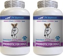 Dog Digestive probiyotiks geri yükleme - Köpekler için PROBIOTICS - Sağlıklı Gut - Gaz Diarrhea ve Bad Breath - Digestive Boost - Lipofilis için - 2 Şişe (120 Tedavi)