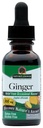 Doğanın Yanıtı Alkol Özgür Ginger Root, 1-Fluid Ounce | Inflammatory Support | Supports Digestion Support