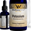 WellnessOne Ionic Cotassium Supplement - Χλωριούχο κάλιο για γρήγορη απορρόφηση - Ενισχύστε το ανοσοποιητικό σύστημα & τη λειτουργία των μυών - ΗΠΑ Δοκιμάστηκε, Vegan, μη ΓΤΟ, Χωρίς γλουτένη, Χωρίς γεύση, 1,67 fl oz