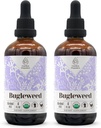 Bugleweed USDA Organik Alkol Ücretsiz Ekstraksiyon | Diyetsel Tamam, Yüksek Yeterlilik Tincture, Respiratory System | Doğal sertifikalı Organik Bugleweed (Ze LAN, Lycopus Virginicus) Herb 2x4 ozzz