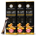 Himalaya Shilajit Honey Sticks for Men & Women - %75+ Fulvic Acid & Trace Minerals - Raw Honey, Saffron & Himalaya Shilajit Giyim - Stamina, Performans ve Enerji Desteği - (Geçmiş 30)