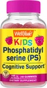 ΛοιπόνYeah Kid's Phosphatidylserine Gummies (100mg) Phosphatidylserine συμπλήρωμα 